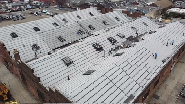 Roof Cleaning